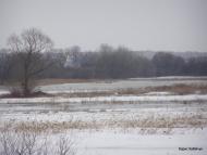 Пісочне з panoramio.com