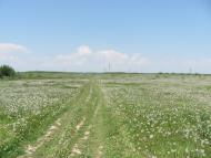 Черемошне з panoramio.com