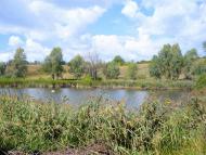 Новосілки з panoramio.com - Новоселки