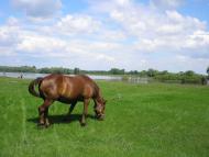 Велике Устя з panoramio.com