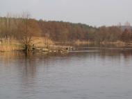 Мисайлівка з panoramio.com