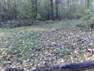 Лютіж з panoramio.com - Lyutizh