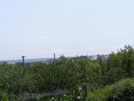 Любопіль з panoramio.com