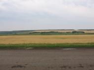 Островського з panoramio.com