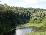 Пушкарівка з panoramio.com