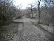 Ковильне з panoramio.com