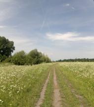 Зарванці з panoramio.com - Зарванцы