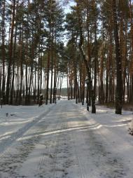 Дерев'яна з panoramio.com