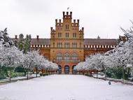 Біла з panoramio.com