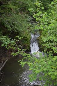 Ластівка з panoramio.com