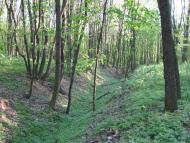 Трубочка з panoramio.com