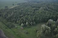 Підлісся з panoramio.com