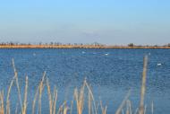 Дарівка з panoramio.com