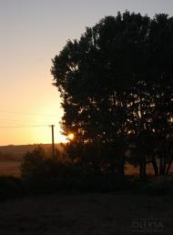 Айвове з panoramio.com