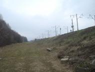 Сербинівці з panoramio.com