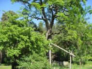 Розваж з panoramio.com