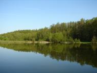 Рябці з panoramio.com