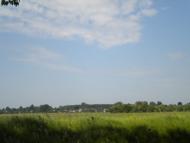 Кунин з panoramio.com