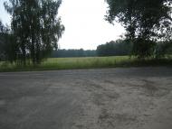 Шевченкове з panoramio.com