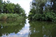 Петровського з panoramio.com