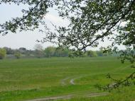 Улянівка з panoramio.com