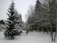 Бистрик з panoramio.com