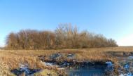Знаменівка з panoramio.com - Знаменовка