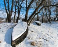 Лопаскине з panoramio.com