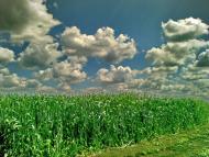 Висока Яруга з panoramio.com