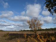 Раска з panoramio.com