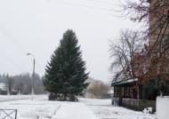 Узин з panoramio.com