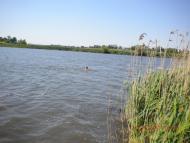 Наталин з panoramio.com