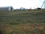 Дібрівка з panoramio.com