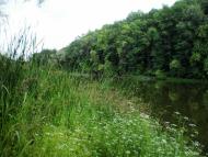 Руські Тишки з panoramio.com