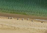 Батальне з panoramio.com