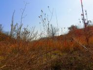 Нижня Кринка з panoramio.com