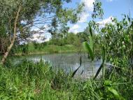 Зарічне з panoramio.com