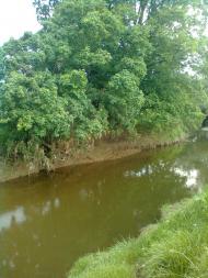 Копанки з panoramio.com