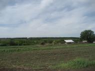 Северинівка