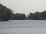 Дмитрівка з panoramio.com