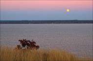 Пшонянове з panoramio.com