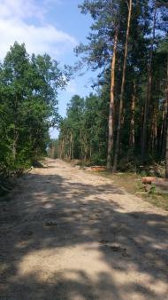 Нараївка з panoramio.com