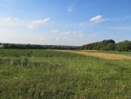 Клопіт з panoramio.com