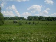 Бережне з panoramio.com