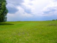 Киселівка з panoramio.com