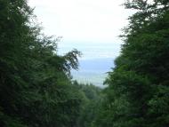Орів з panoramio.com - Оров