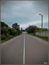 Олександрія з panoramio.com