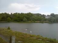 Тетіїв з panoramio.com