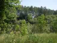 Прилужжя з panoramio.com