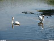 Самсонове з panoramio.com